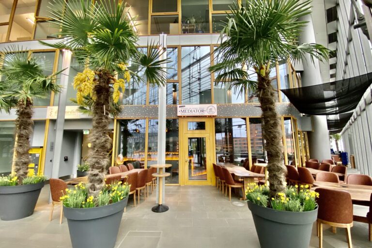 Restaurant Gutschein für KIJJI Mediator