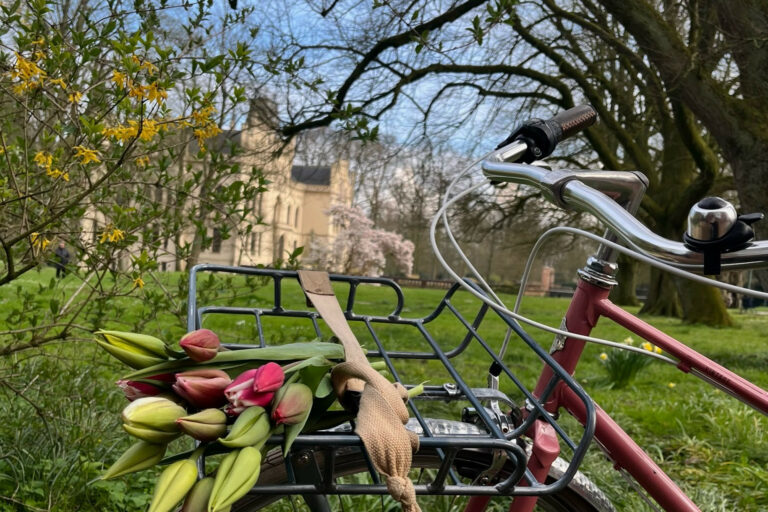 Restaurant Gutschein Café Schloss Evenburg Leer (Ostfriesland)