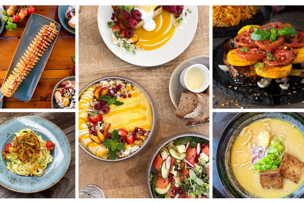 Unsere Gastro-Newcomer im November