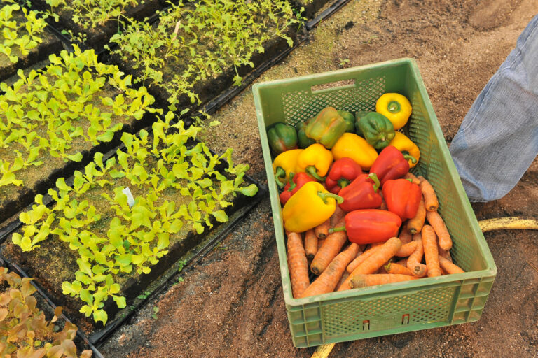 Restaurant Gutschein Restaurant Lippeschlößchen Wesel