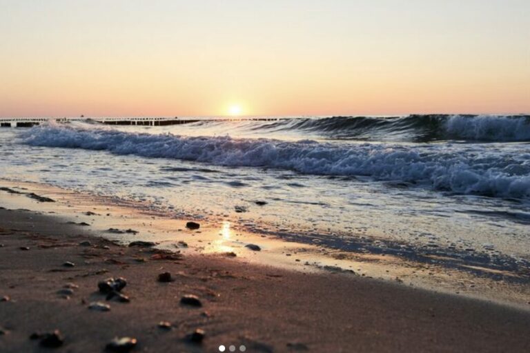 Restaurant Gutschein Food Truck Bad Doberan-Heiligendamm