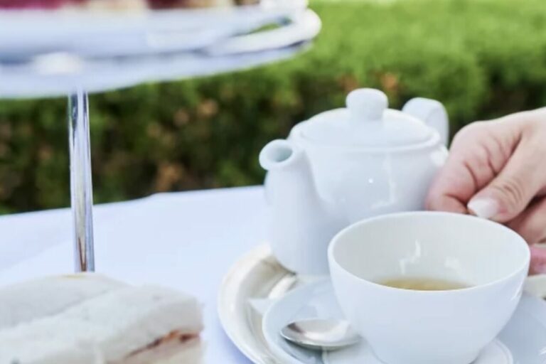 Restaurant Gutschein Nelson Bar Bad Doberan