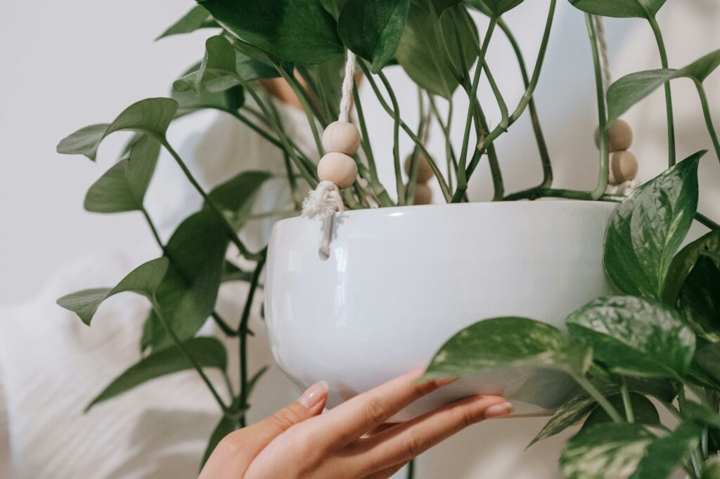 Abschiedsgeschenke für Mitarbeiter