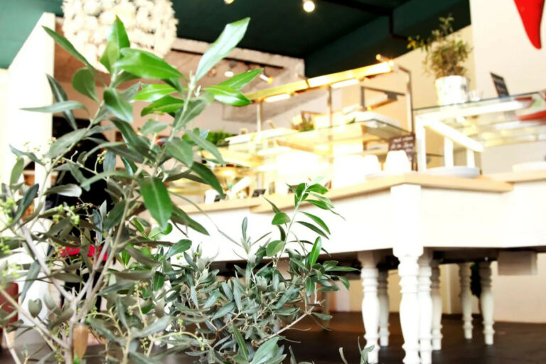 Restaurant Gutschein red – die grüne Küche Heidelberg