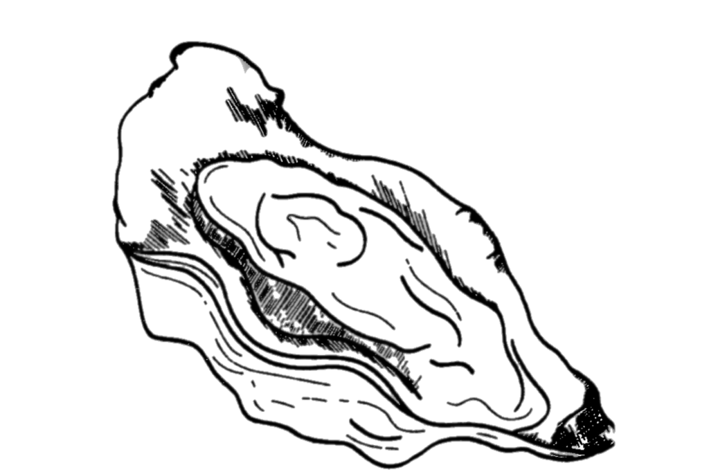 Restaurant Gutschein Brasserie Marie Köln