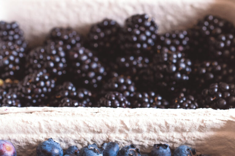 Restaurant Gutschein Hotel Bayrischer Löwe Osterhofen