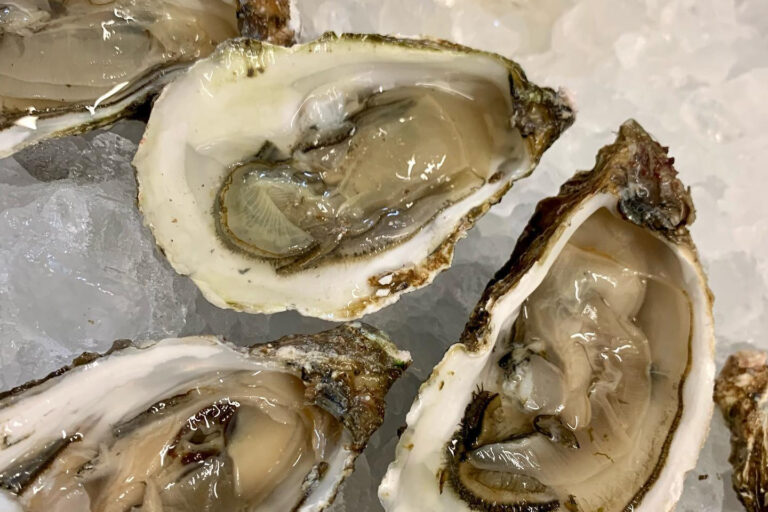 Restaurant Gutschein Hotel zur Börse Sulingen