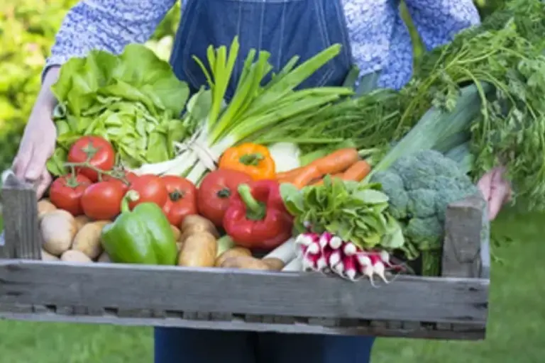 Restaurant Gutschein für Köhler Stuben