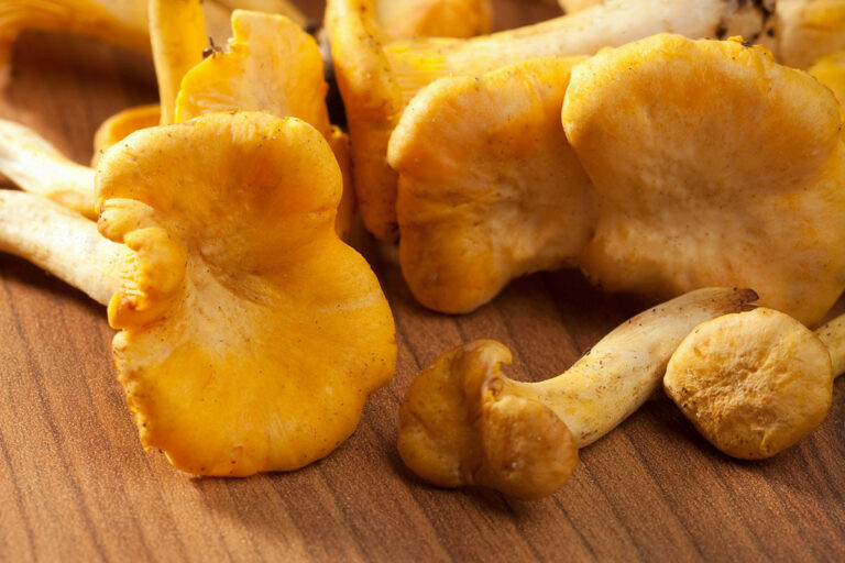 Restaurant Gutschein Schnitzelhaus Schwerin