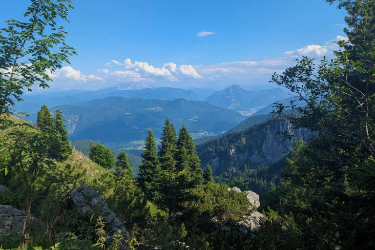 Restaurant Gutschein SonnenAlm Aschau im Chiemgau