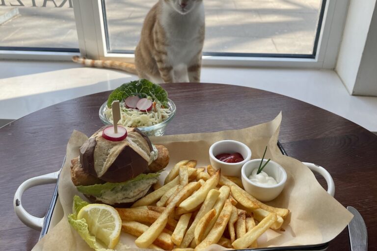 Restaurant Gutschein Katers Köök – veganes Deli & Katzencafé Hamburg