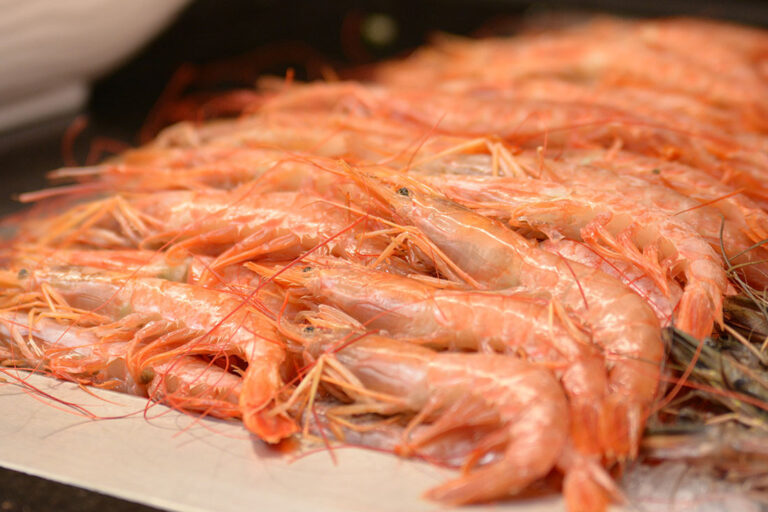 Restaurant Gutschein Gourmet Palast Düsseldorf