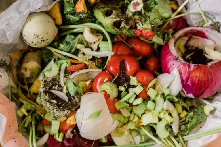 Restaurant Gutschein für Salädchen Marburg Mitte