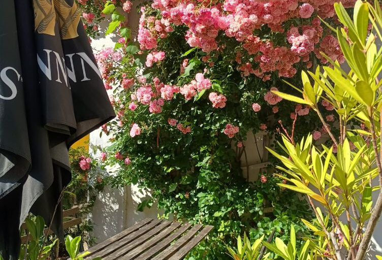 Restaurant Gutschein O’Toole’s Schmiede Irish Pub and Restaurant Nürnberg