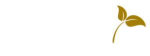 Logo deseo Tapas Bar HafenCity