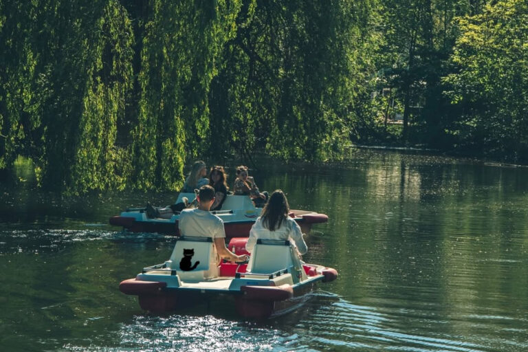 Restaurant Gutschein Grinsekatz Braunschweig