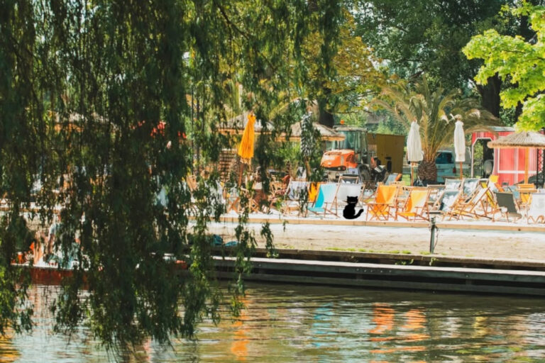 Restaurant Gutschein Grinsekatz Braunschweig