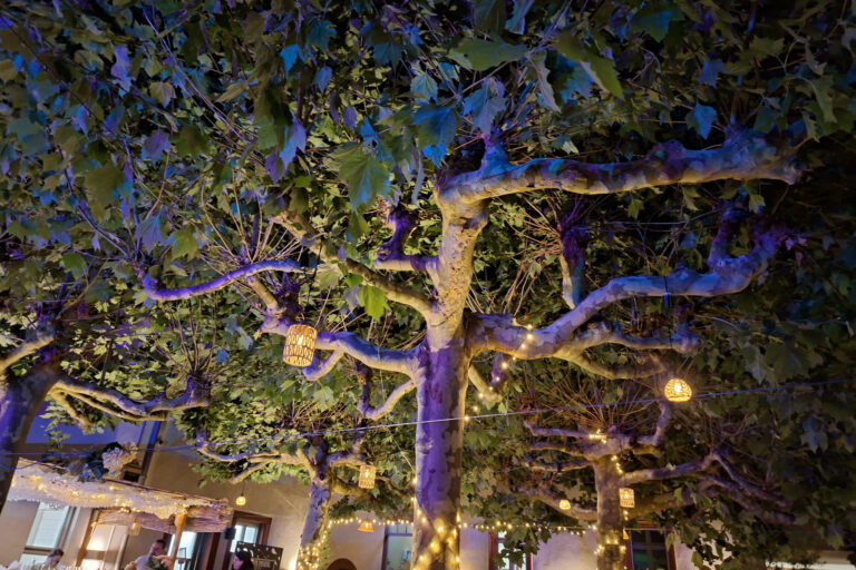 Restaurant Gutschein “MonaLiza” Osthofen