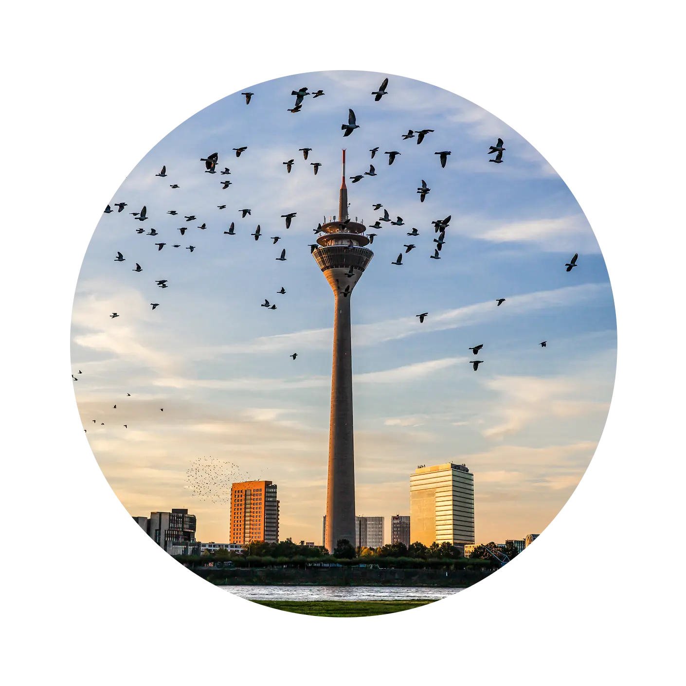 Geschenk Gutschein Ein Geschenk, das Düsseldorf unvergesslich macht.