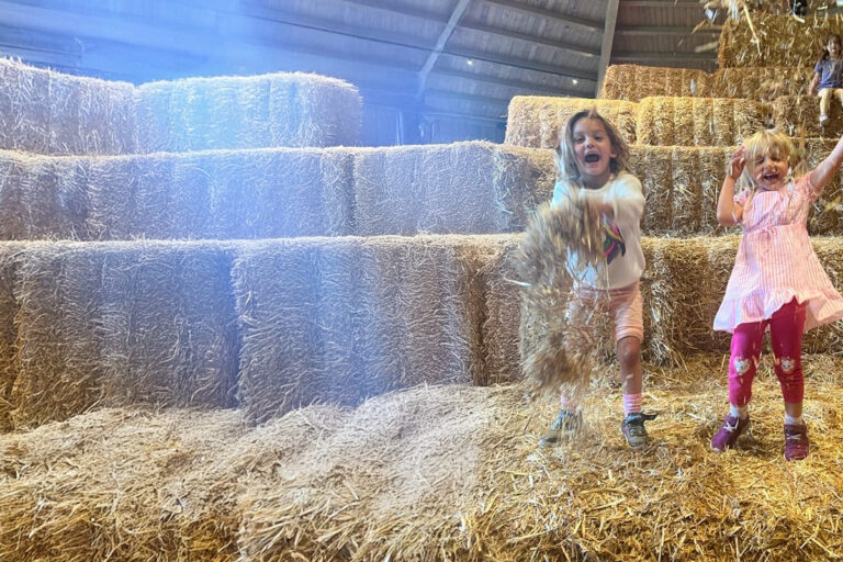 Restaurant Gutschein für Gertrudenhof