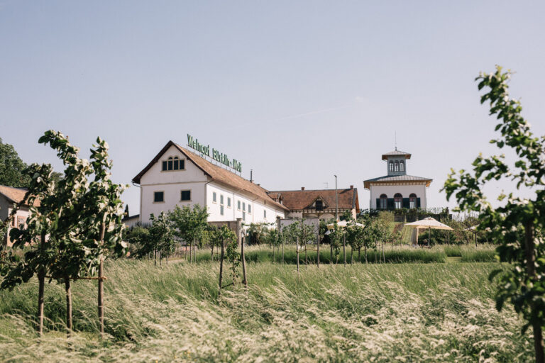 Restaurant Gutschein für Hofgut Ruppertsberg