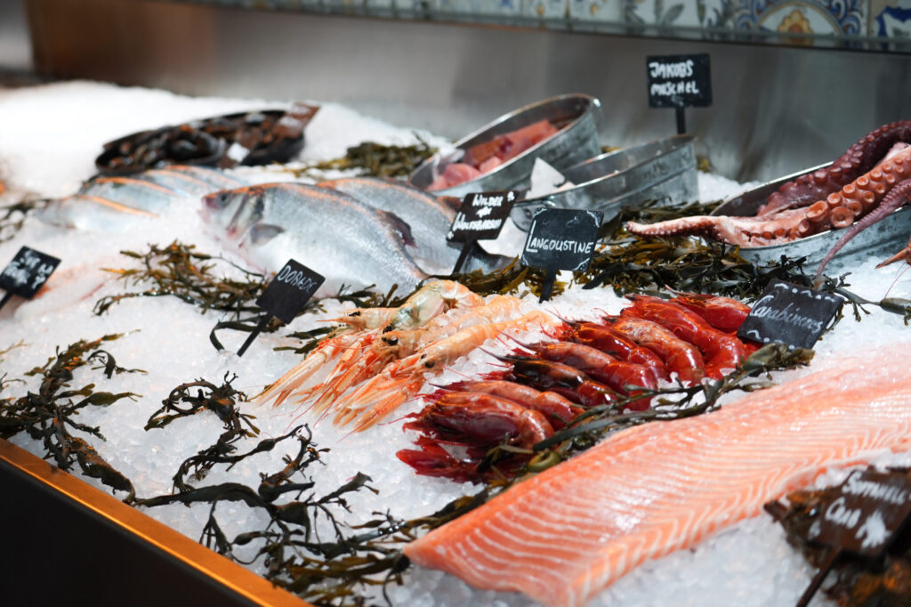 Neu bei BON BON: PESCA, das Fischtheater in der HafenCity